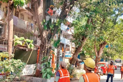 BMC- issues notices for pre-monsoon tree trimming