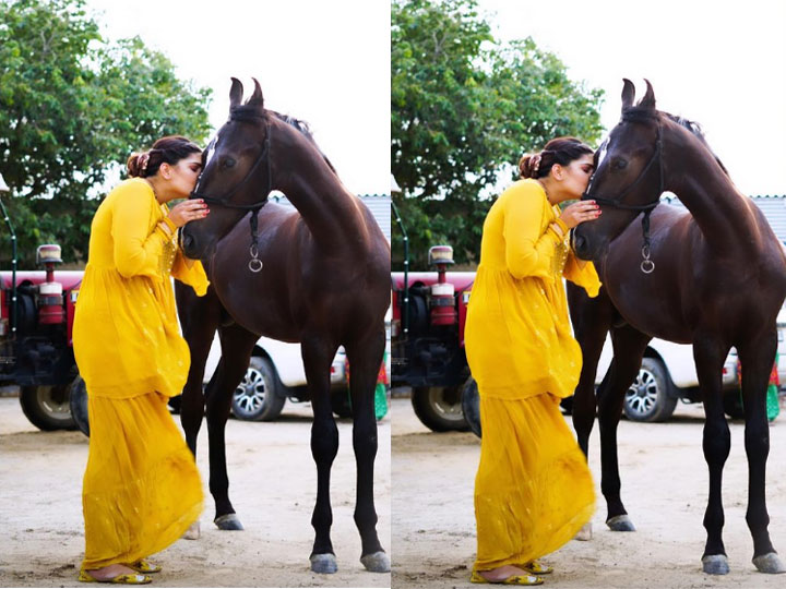Haryanvi dancer Sapna Choudhary took some special pictures with a horse