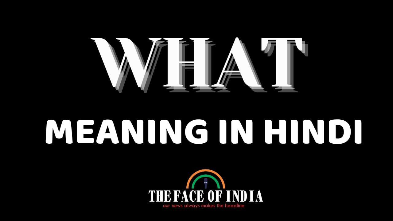 what meaning in hindi