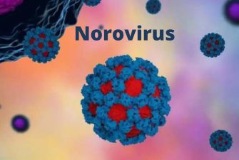 163862-norovirus