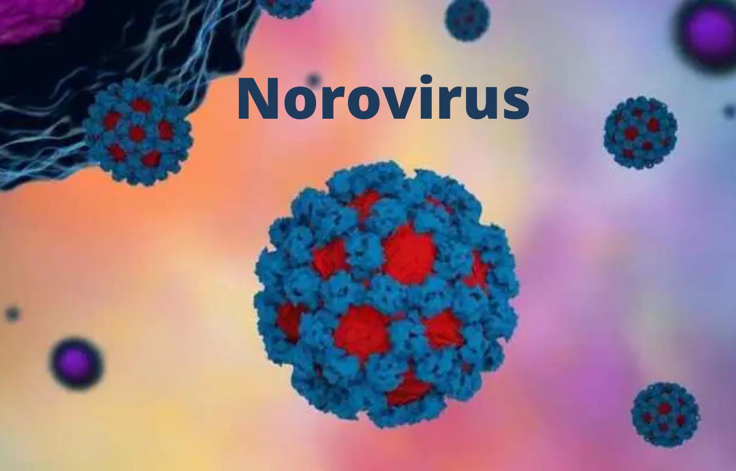 Norovirus In Kerala