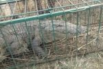 IMG_20230130_19031853