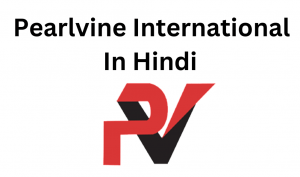 Pearlvine International History in Hindi – Full Details of Digital Bank