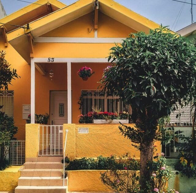 cropped-pexels-thgusstavo-santana-2102587-scaled-1