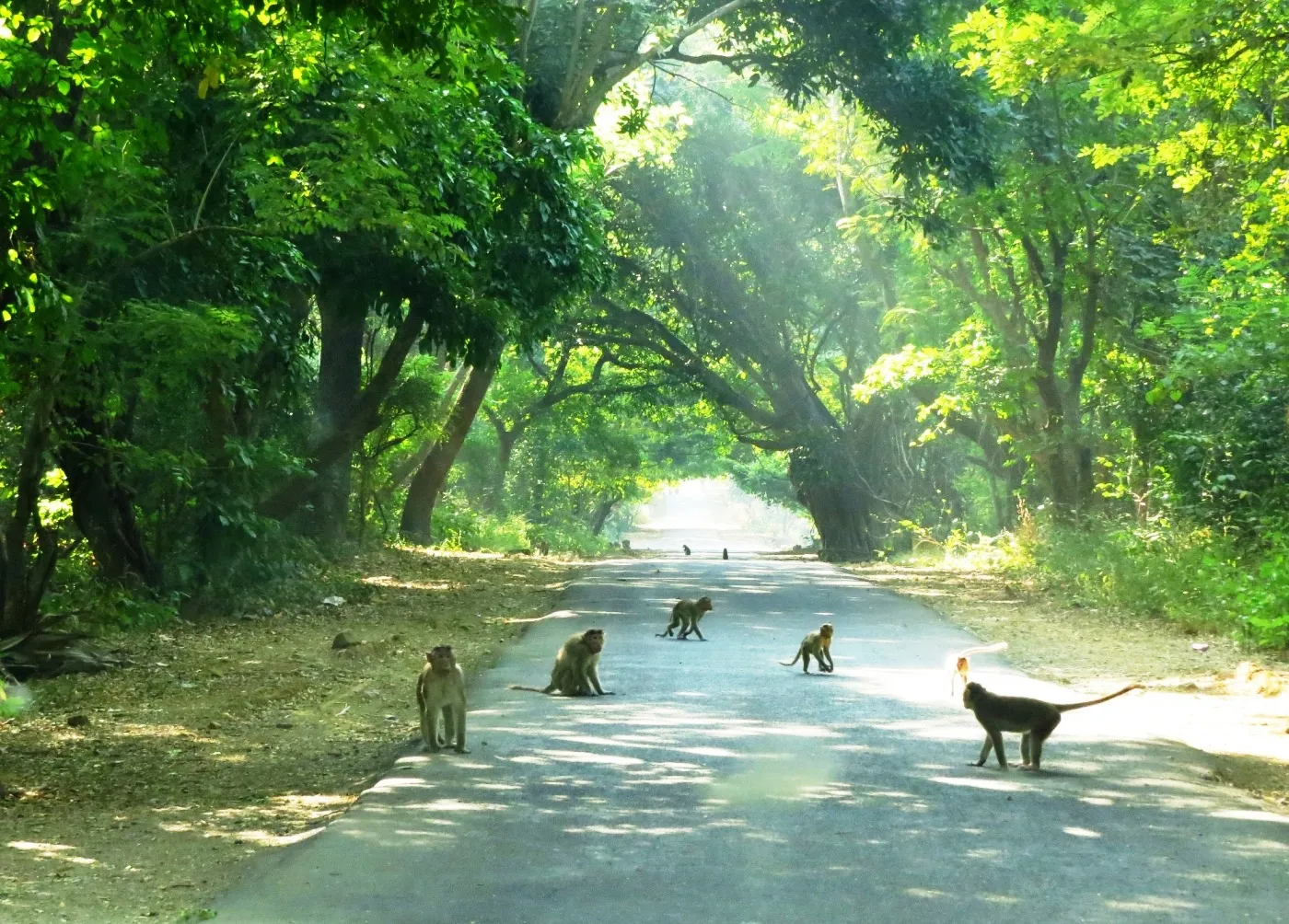 Best places to visit in Maharashtra during summer Best places to visit in Maharashtra