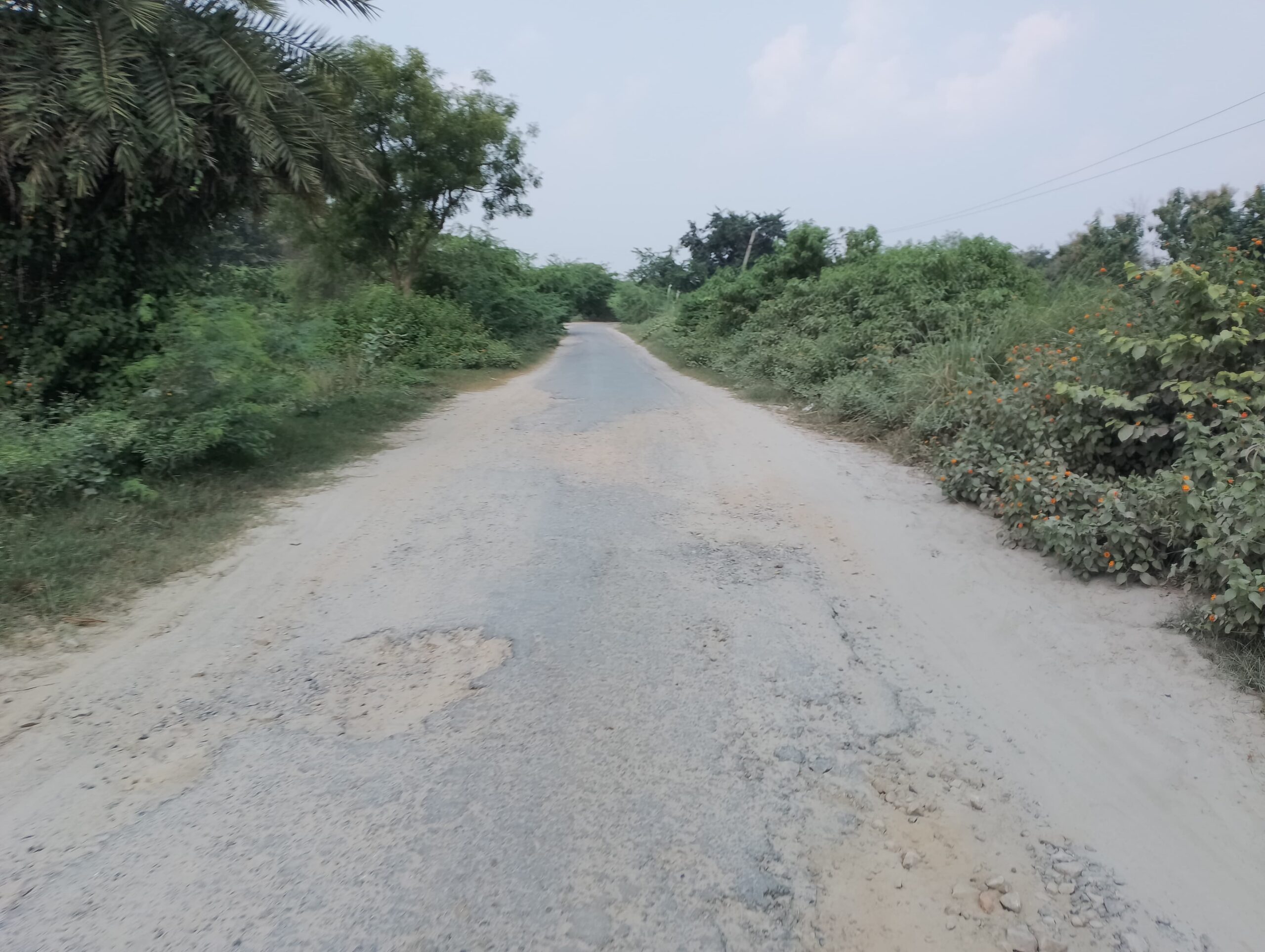 Roads gathering dust, disturbing pedestrians