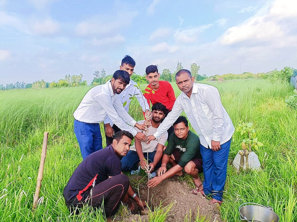 Tree plantation done by Mansuri