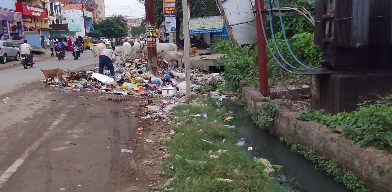 सड़क पर ही गिराया जा रहा शहर का कूड़ा, फैल रहा संक्रमण 