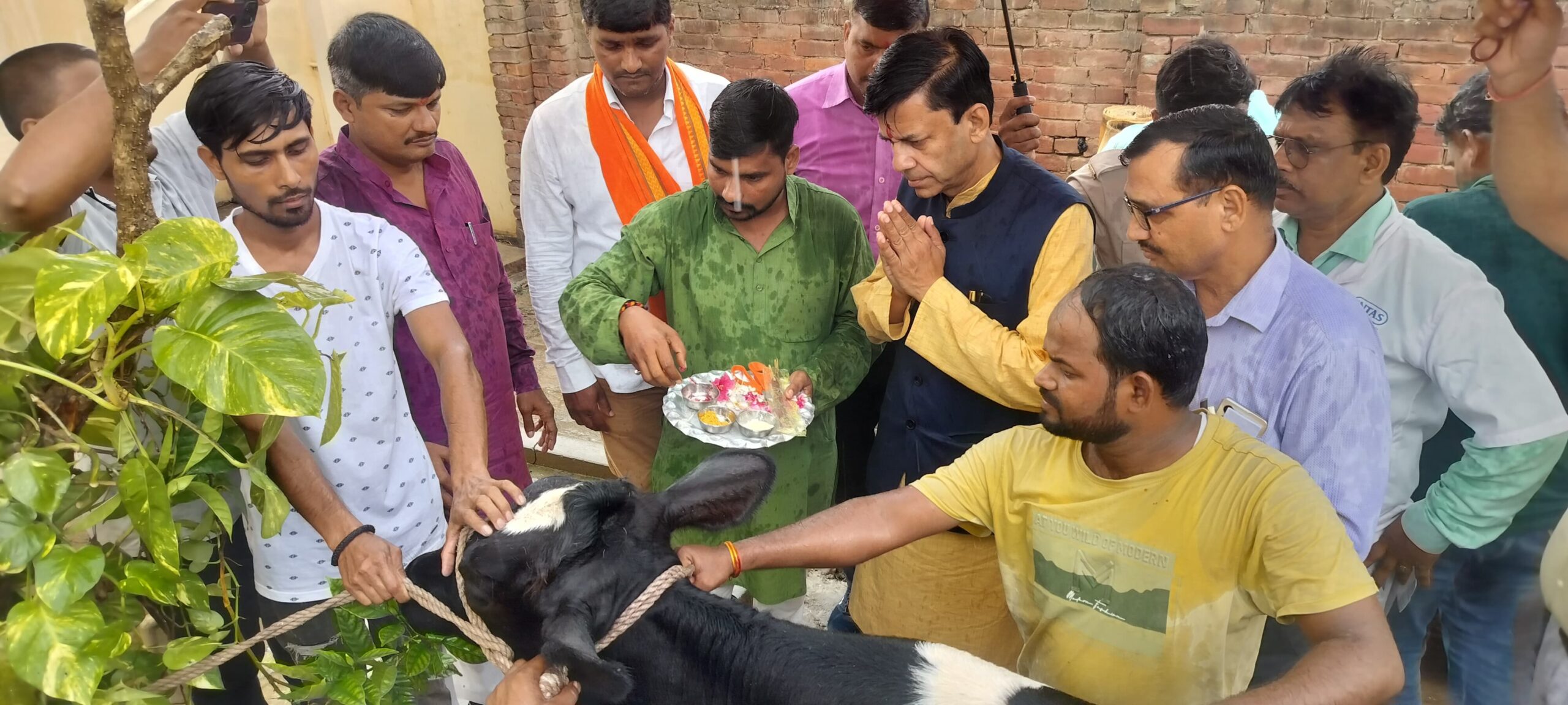 Pandit Deen Dayal Upadhyay Animal Health Fair organized