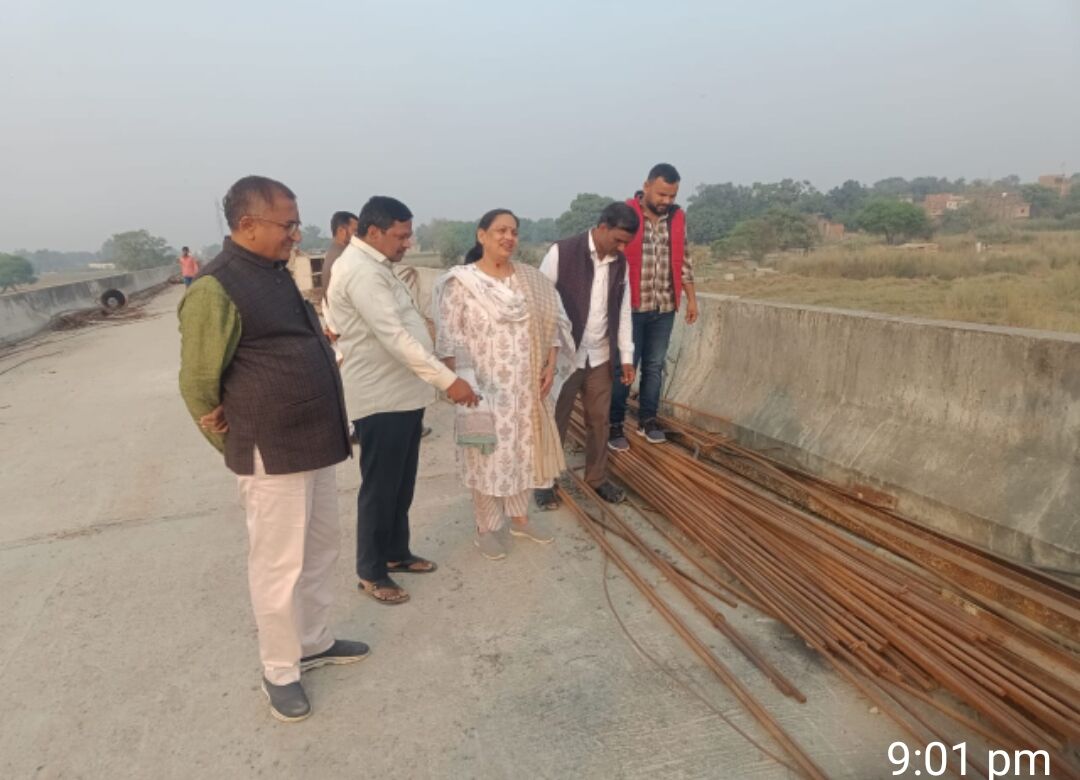 Former Rajya Sabha member Kanaklata Singh inspected Mohan Singh Bridge.