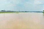 The water level of Saryu river is decreasing in Bhagalpur.